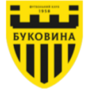 Logo Bukovyna