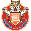Logo câu lạc bộ Guangdong Southern Tigers