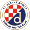 Logo câu lạc bộ St Albans Saints