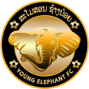 Young Elephants FC football club