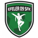 Logo câu lạc bộ Efeler 09 Spor