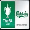 Logo FA Vase