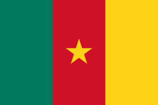 Cờ Cameroon - đội tuyển bóng đá quốc gia