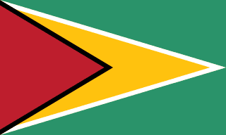 Cờ Guyana - đội tuyển bóng đá quốc gia