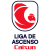 Primera División B