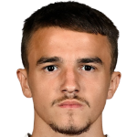 Nikola Jojic