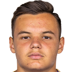 Denis Dizdarevic