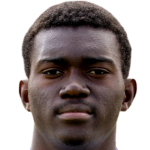Salomon Patrick Amougou Nkoa