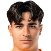 Tyler Doğan