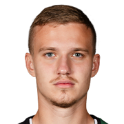 Kirill Dvornikov