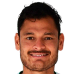 Haibrany Nick Ruíz Díaz Minervino