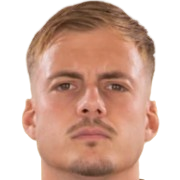 Cầu thủ Ivan Ilić (Serbia)