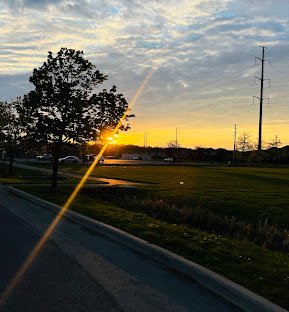 Sân vận động Kalar Sports Park – sân nhà của Niagara United