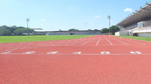 Sân vận động Davao del Norte SC – sân nhà của Aguilas–UMak